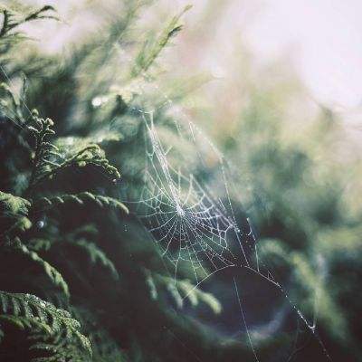 打爆恐龙无敌版